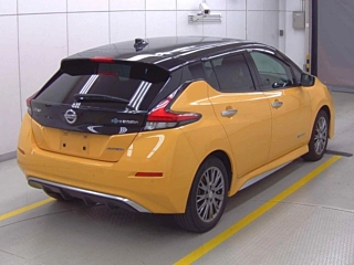 NISSAN LEAF 2020