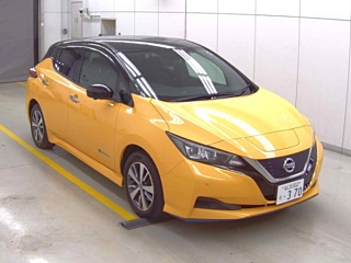 NISSAN LEAF 2019