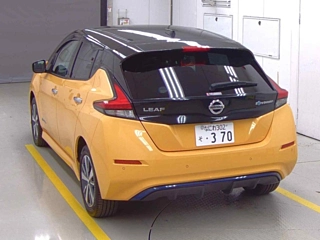 NISSAN LEAF 2019
