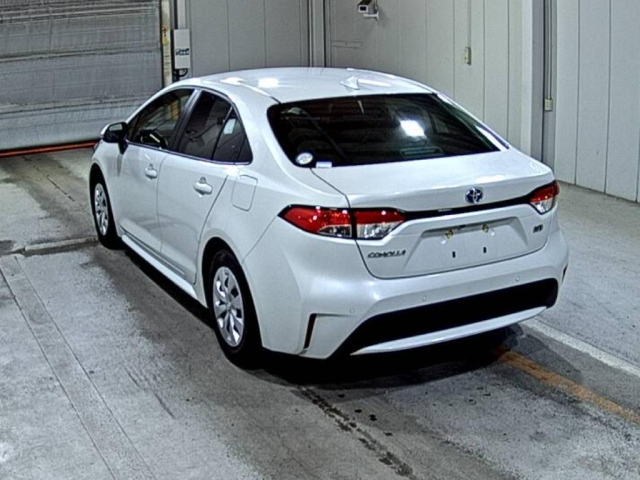 TOYOTA COROLLA 2023