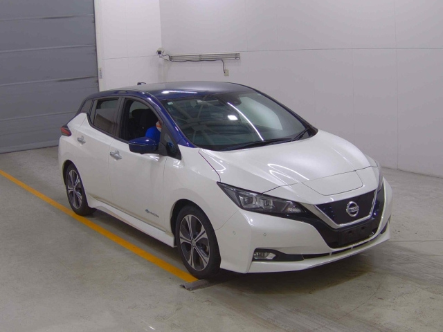 NISSAN LEAF 2019