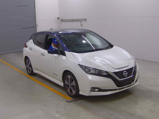 NISSAN LEAF 2019