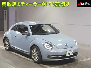 VOLKSWAGEN THE BEETLE 2015
