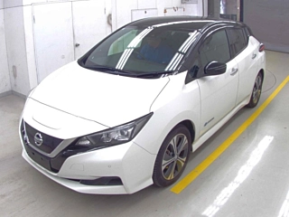 NISSAN LEAF 2018
