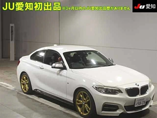 BMW 2 SERIES 2015