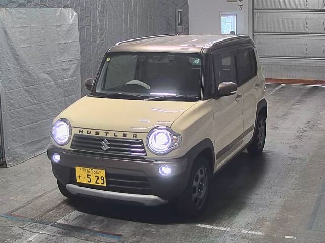 SUZUKI HUSTLER 2019