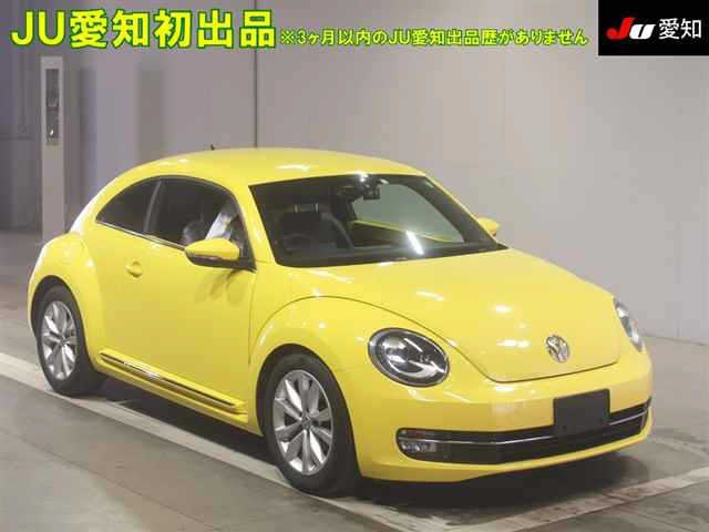 VOLKSWAGEN THE BEETLE 2012