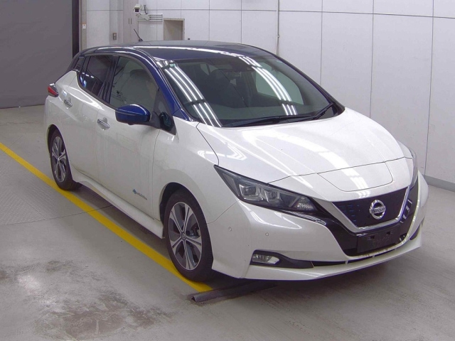 NISSAN LEAF 2019