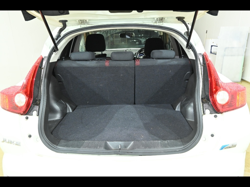 NISSAN JUKE 2011