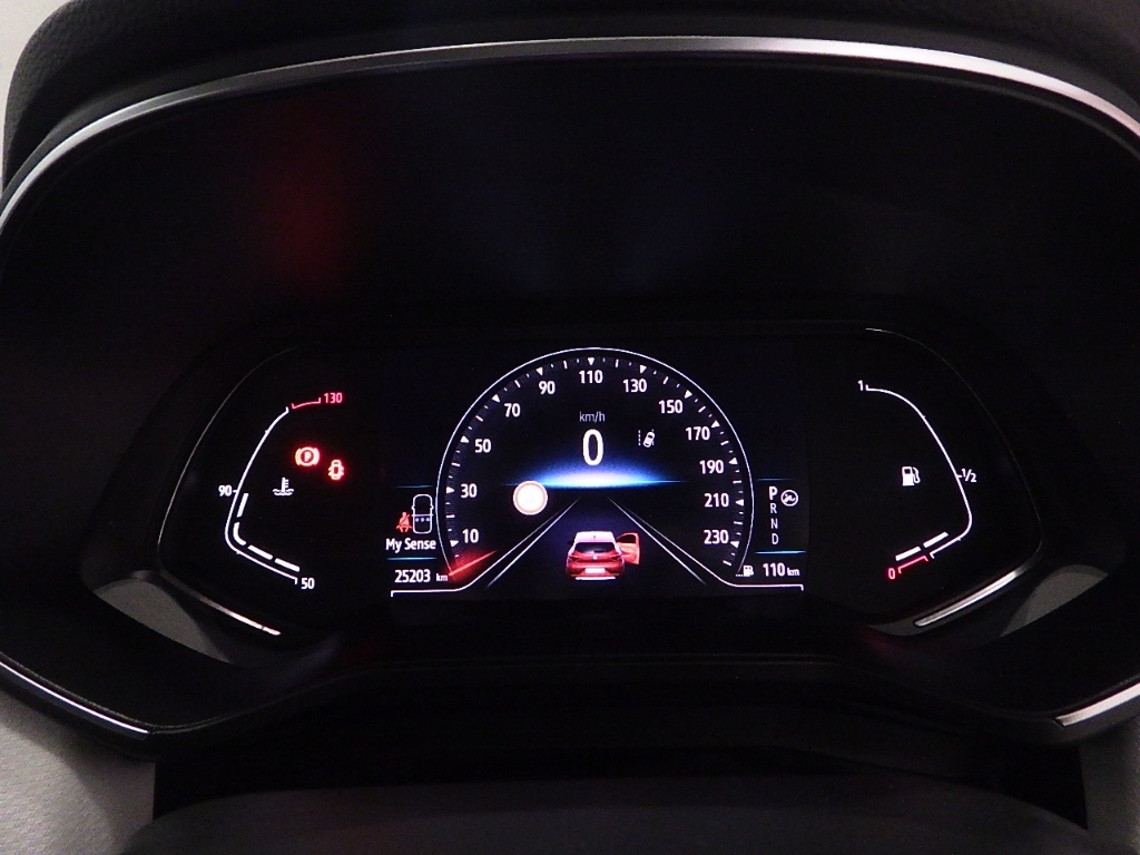 RENAULT LUTECIA 2021