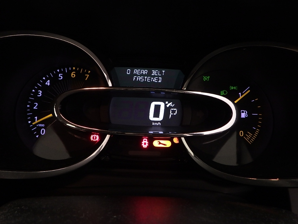 RENAULT LUTECIA 2014