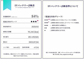 NISSAN LEAF 2020