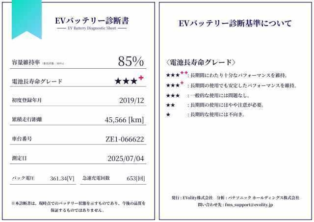 NISSAN LEAF 2019