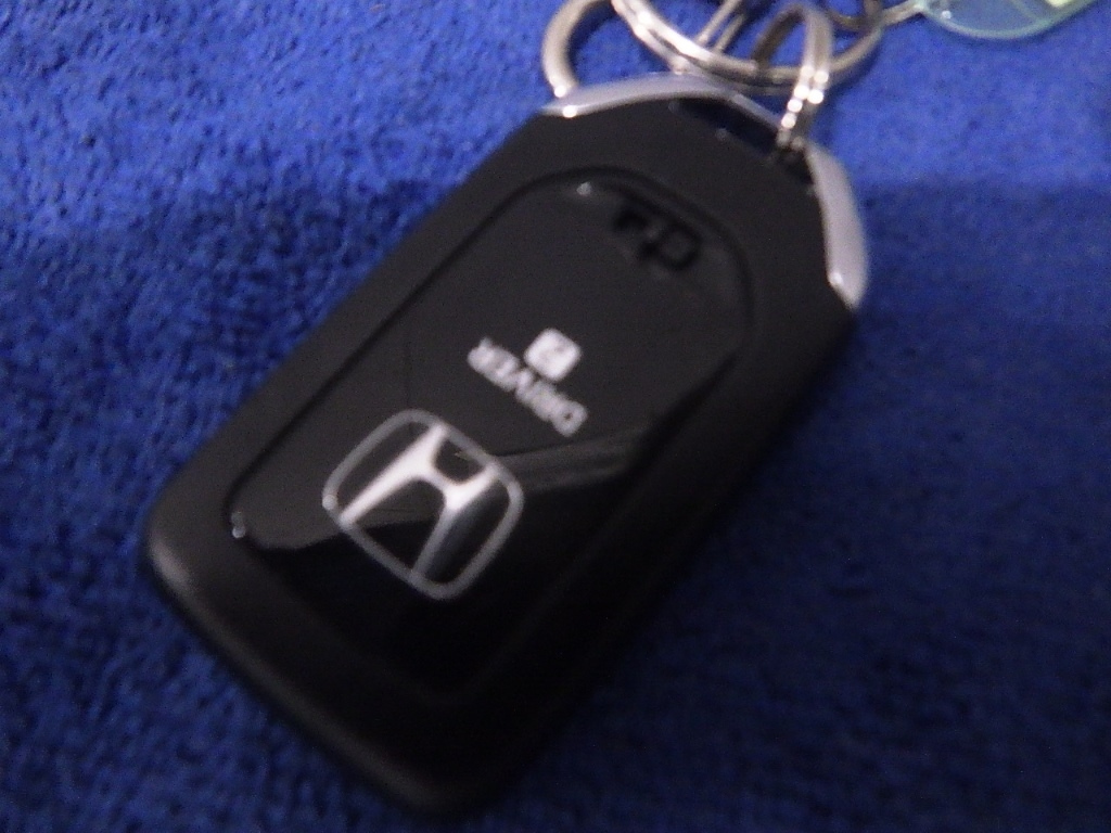 HONDA WR-V 2025