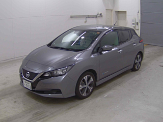 NISSAN LEAF 2019