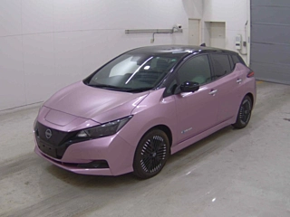 NISSAN LEAF 2022