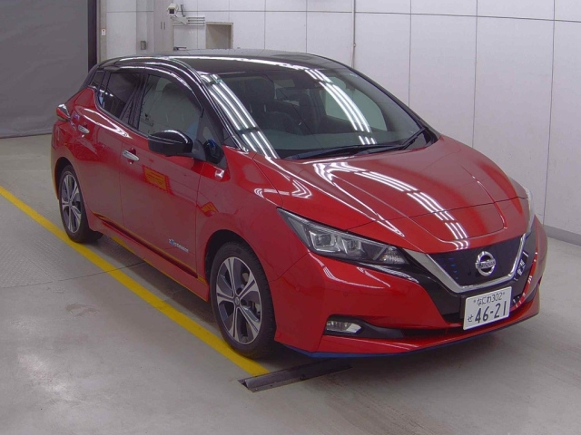 NISSAN LEAF 2019