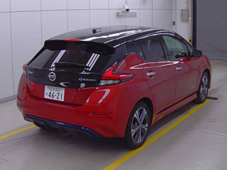 NISSAN LEAF 2019