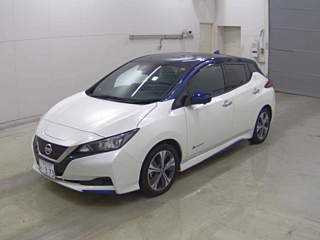 NISSAN LEAF 2021