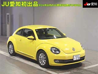 VOLKSWAGEN THE BEETLE