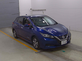 NISSAN LEAF