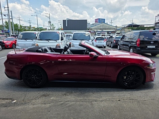 FORD MUSTANG 2019