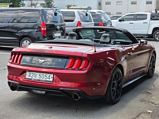 FORD MUSTANG 2019