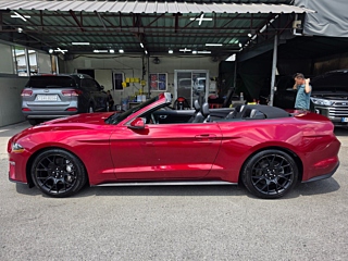 FORD MUSTANG 2019