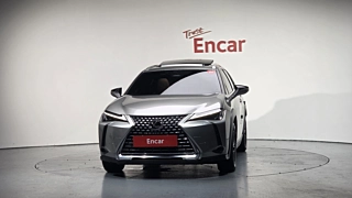 Заказать LEXUS UX300H