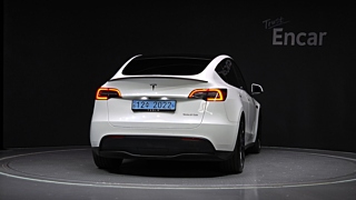 TESLA MODEL Y  Performance 2021