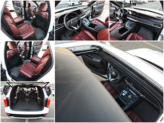 HYUNDAI PALISADE 2019