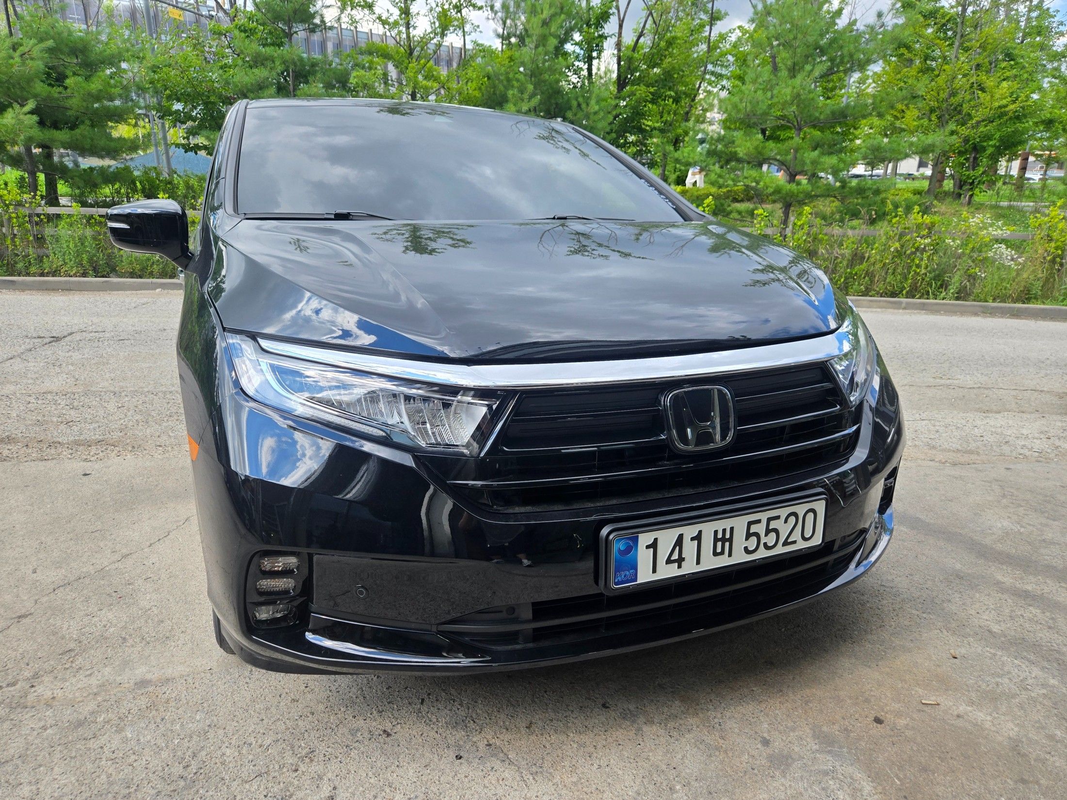 HONDA ODYSSEY