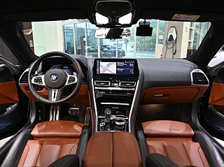 BMW 8-SERIES G15 2024