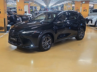 Заказать LEXUS NX450H+