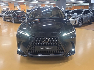 Заказать LEXUS NX450H+