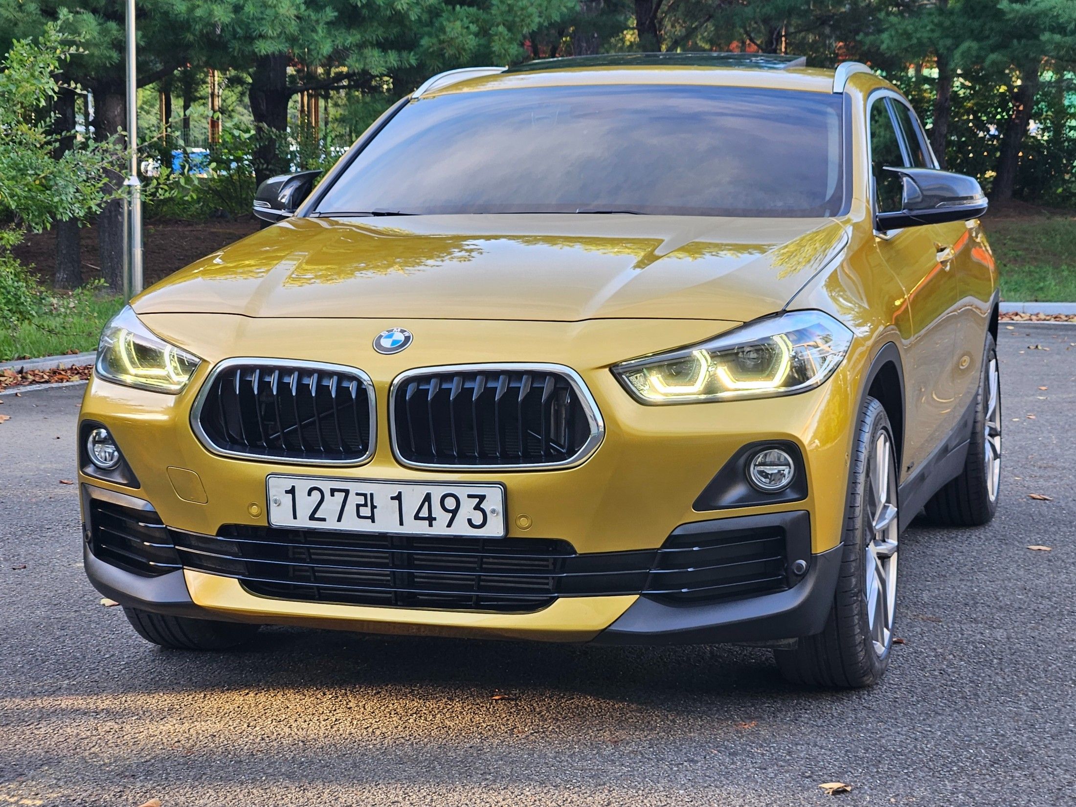 BMW X2 F39 F39 2020