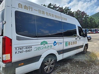 HYUNDAI SOLATI 2017