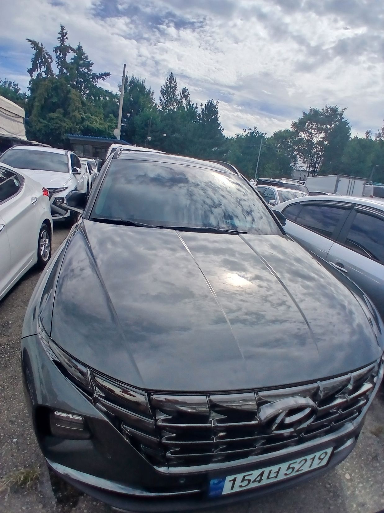 HYUNDAI TUCSON NX4 2021