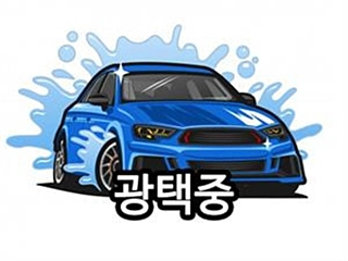 HYUNDAI SONATA NEW RISE 2017