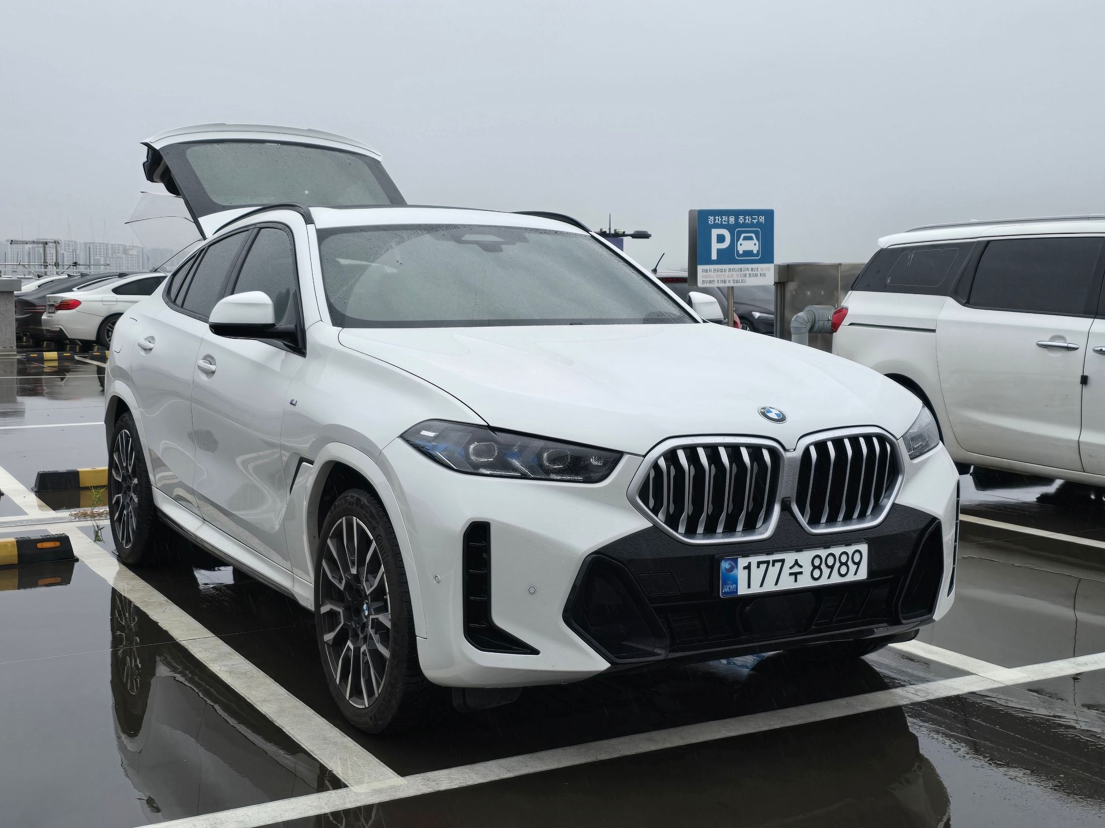 BMW X6 G06 2024