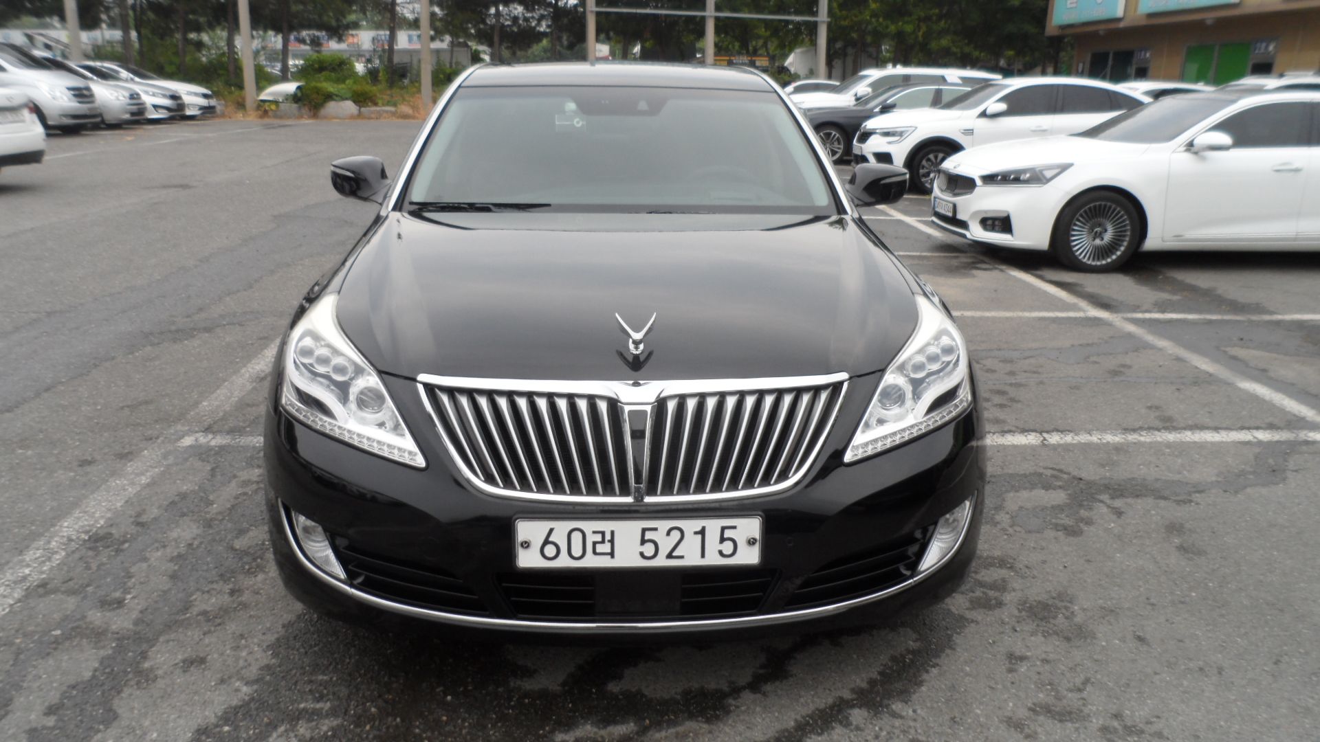 HYUNDAI EQUUS NEW 2015