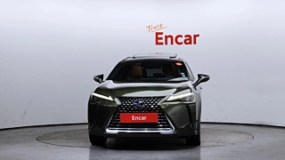LEXUS UX300E 2022