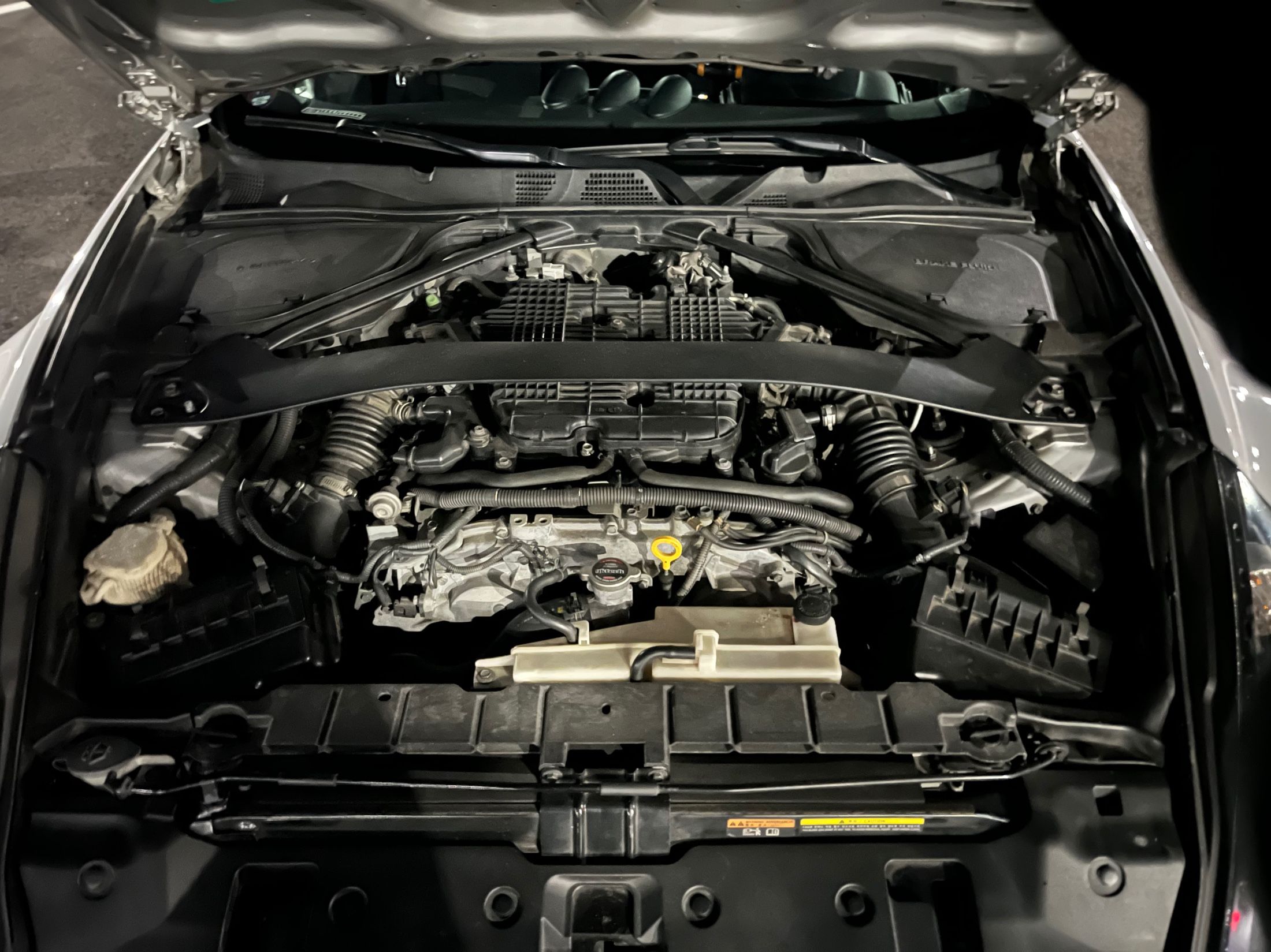 NISSAN 370Z 2009