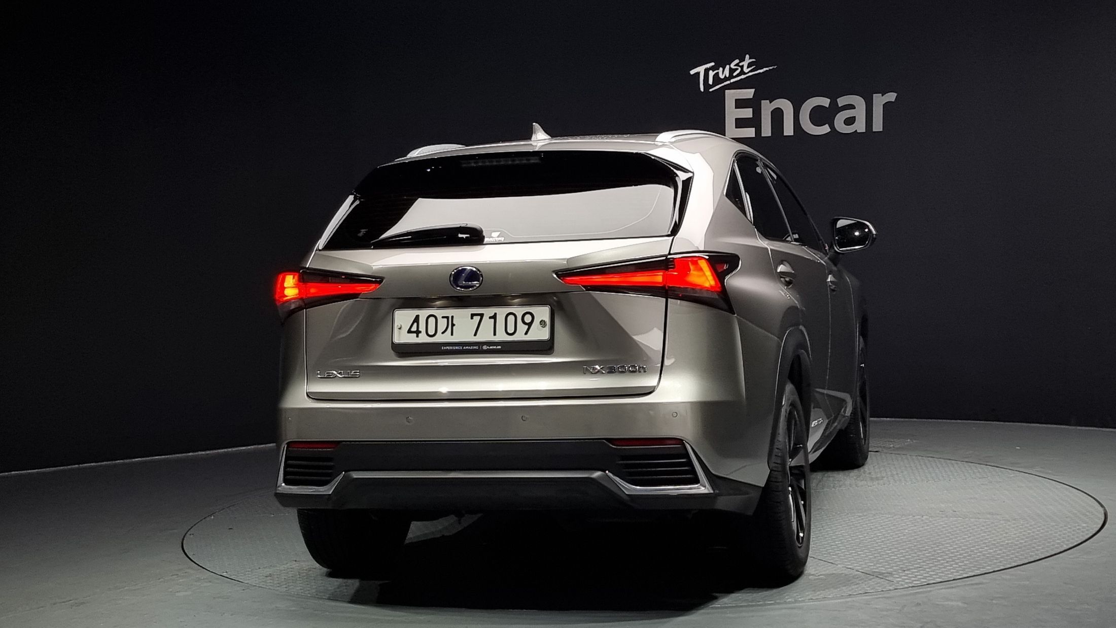 LEXUS NX300H 2019