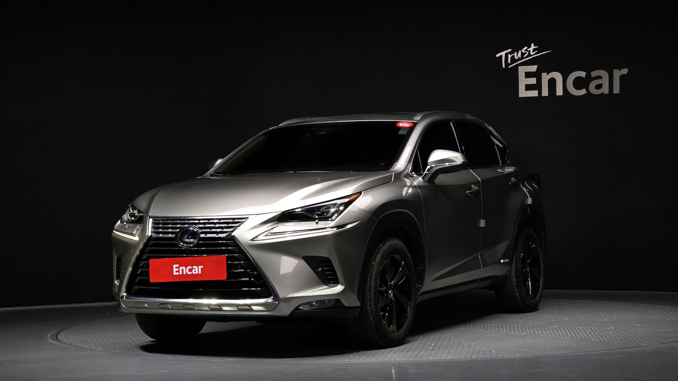 LEXUS NX300H