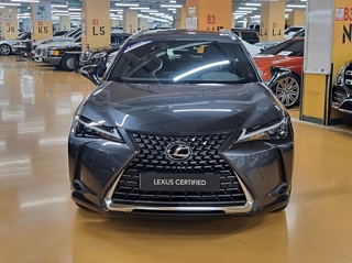 Заказать LEXUS UX300H