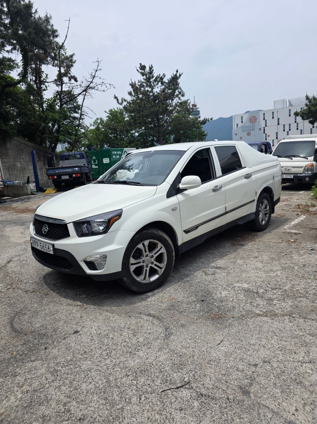 SSANGYONG KORANDO SPORTS
