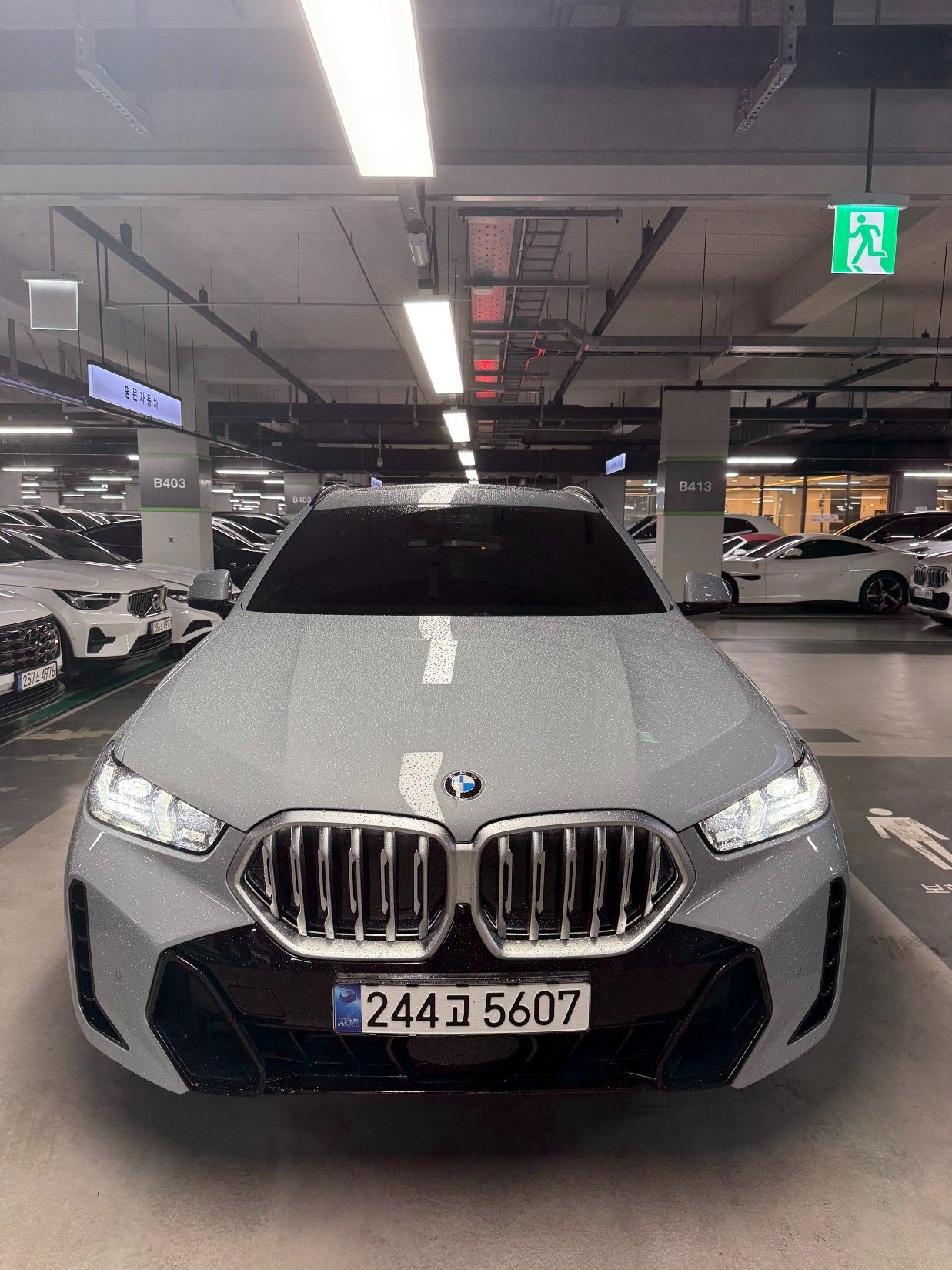 BMW X6 G06