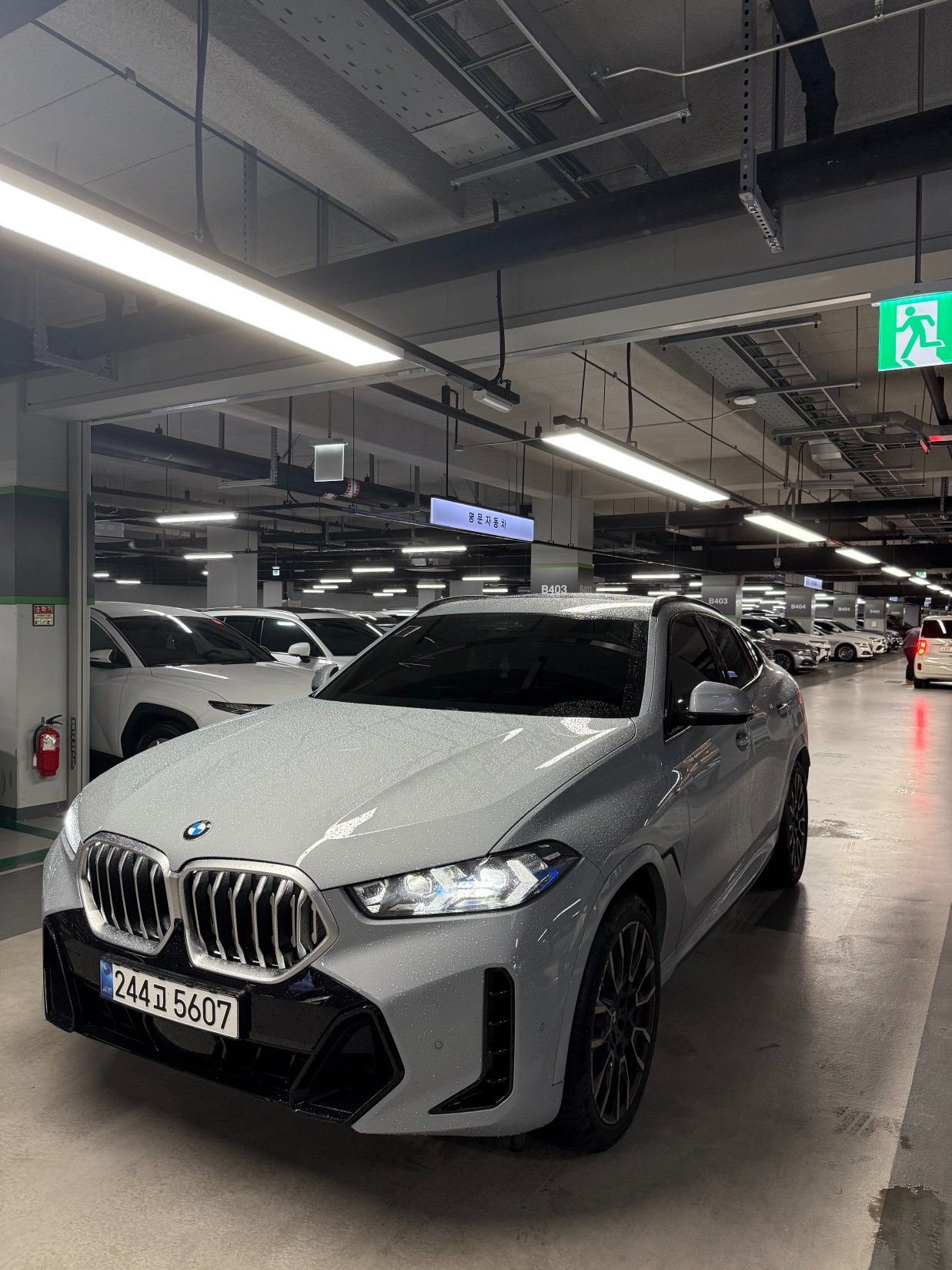 BMW X6 G06