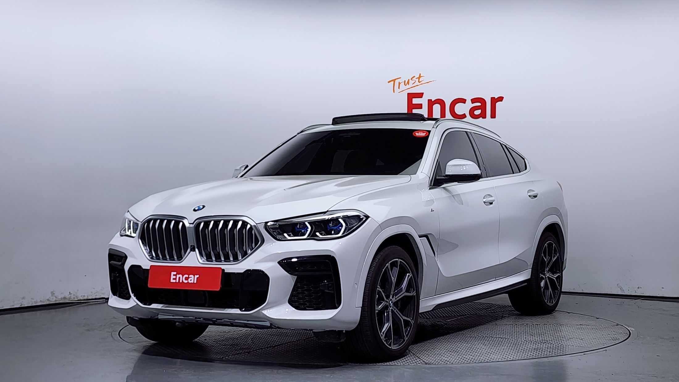 BMW X6 G06 2021